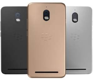 Blackberry Aurora