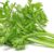 Manfaat Kesehatan Daun Seledri
