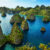 Raja Ampat, Surga Bawah Laut Indonesia