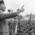 Sejarah Proklamasi Indonesia Merdeka